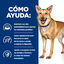 Hill's Prescription Diet Digestive Care i/d Ternera lata para perros, , large indicador imagen numero 4